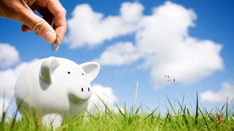 Piggy Bank Money Savings