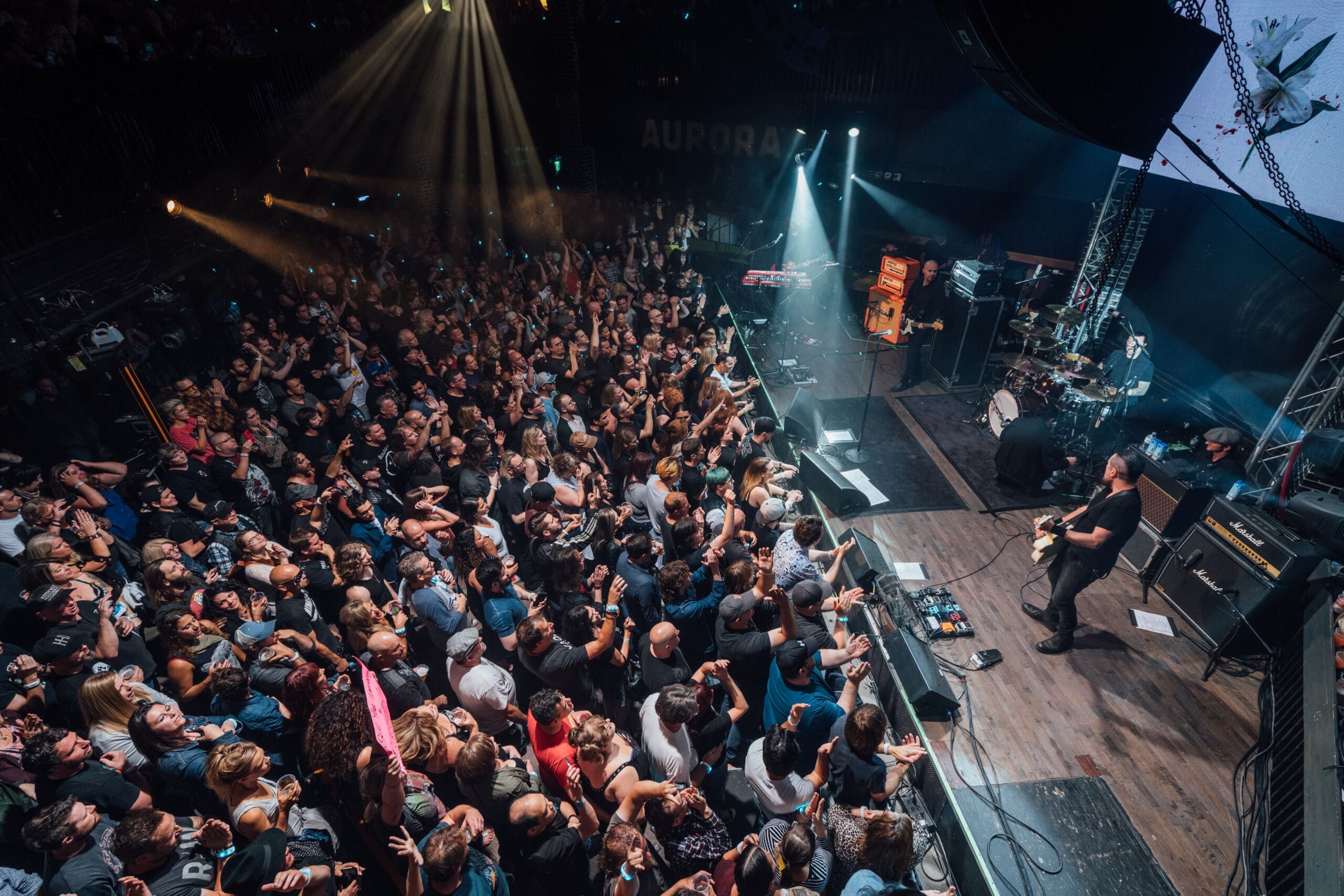 The Cult Aurora Illumination Series (Music Editorial)