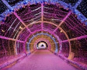 Enjoy Light Festival Edmonton Christmas festivals