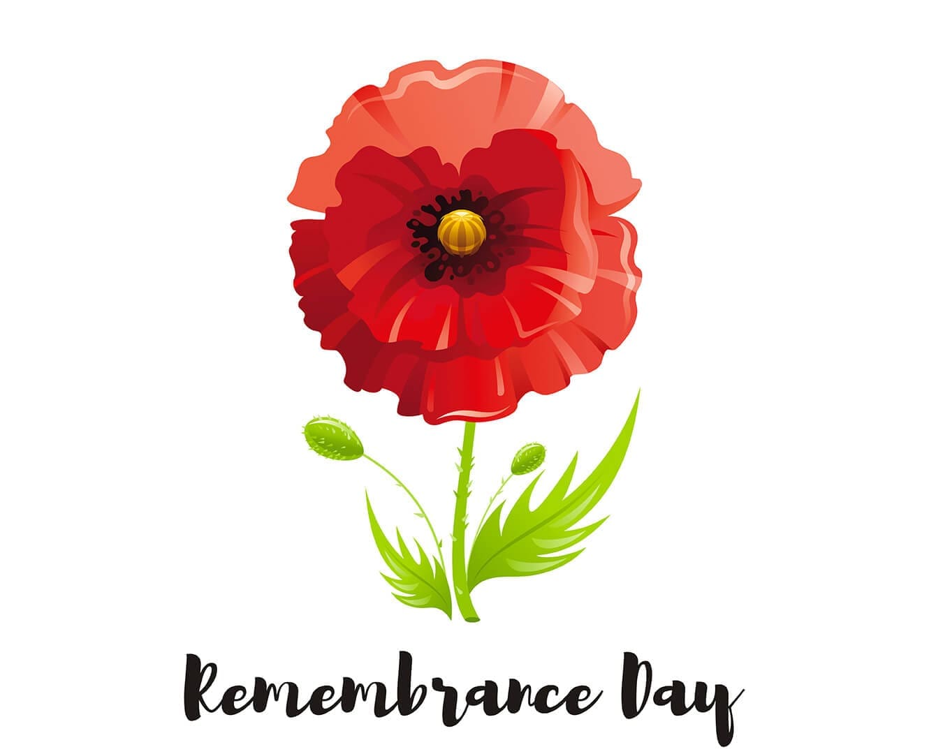 Remembrance Day services in Edmonton