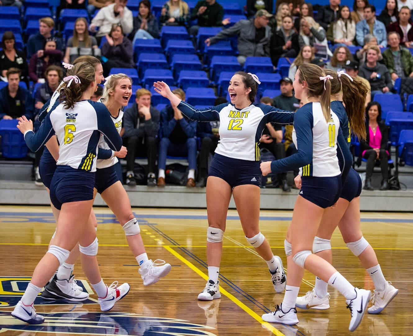 female volleyball players celebrate after winning a point