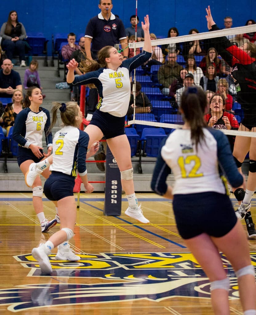 female volleyball players hit the ball over the net