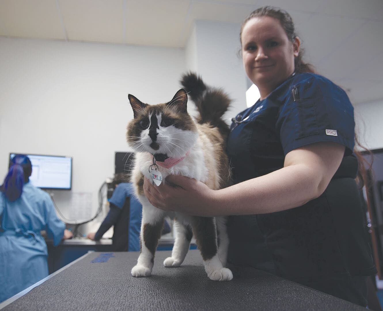 Registered Veterinary Technician Awareness Month: AHT Students “Purrrvide” Services for NAIT’s Pet Owners