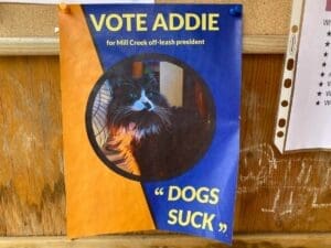 Tuna and Addie face off as pet presidents of Mill Creek Ravine Dog Park