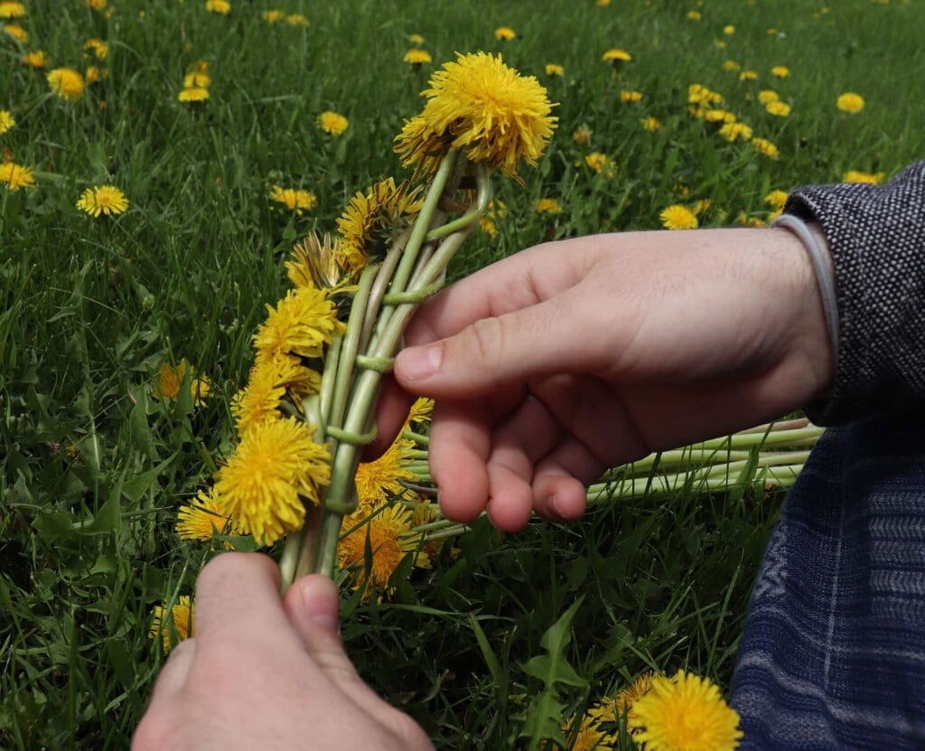 Braiding a diy flower crown