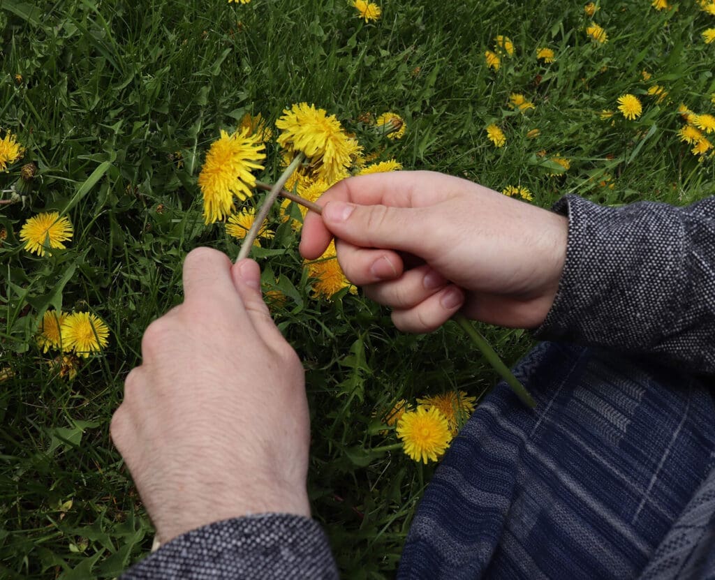 Braiding a dandelion crown