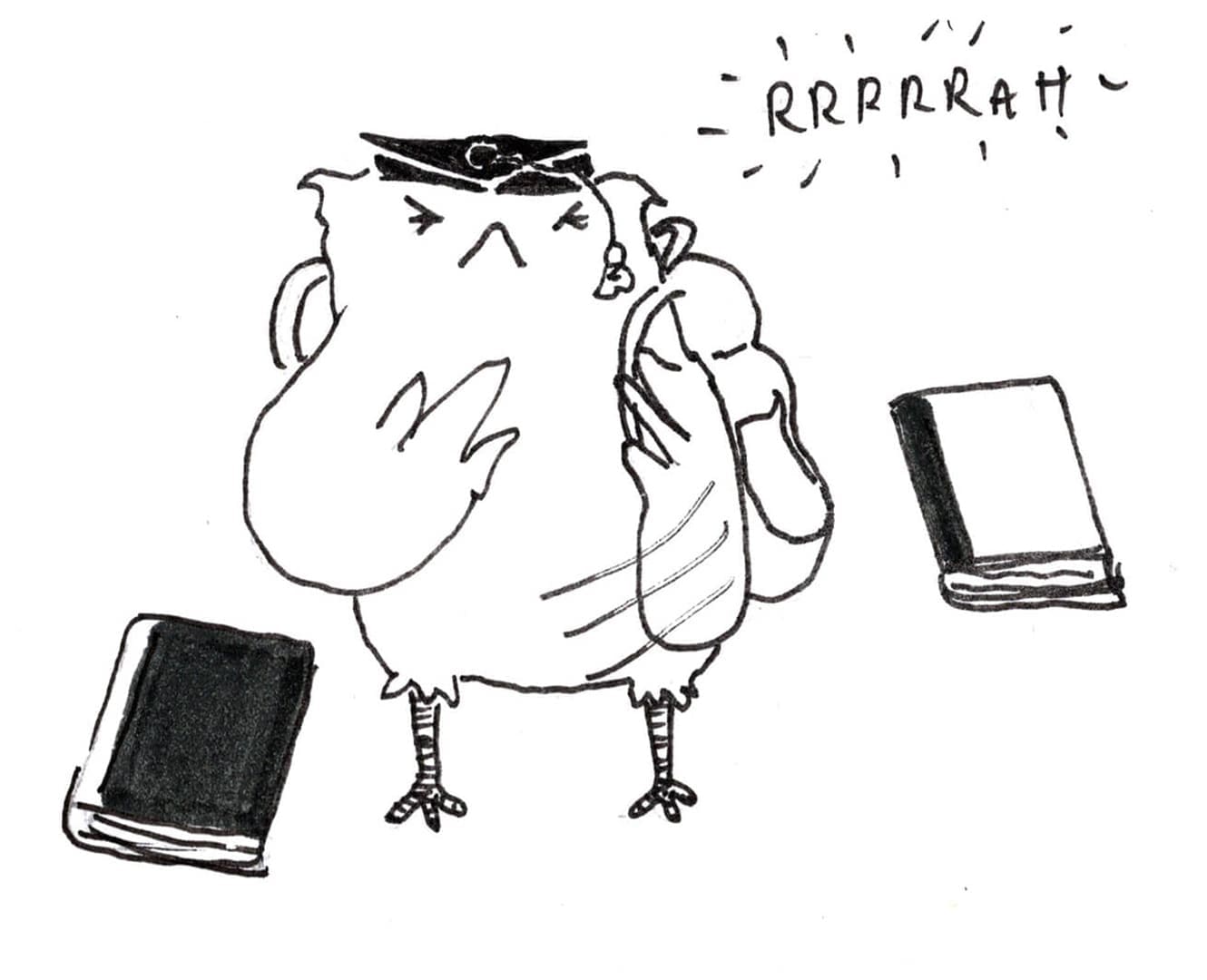 NAIT Ooks owl mascot