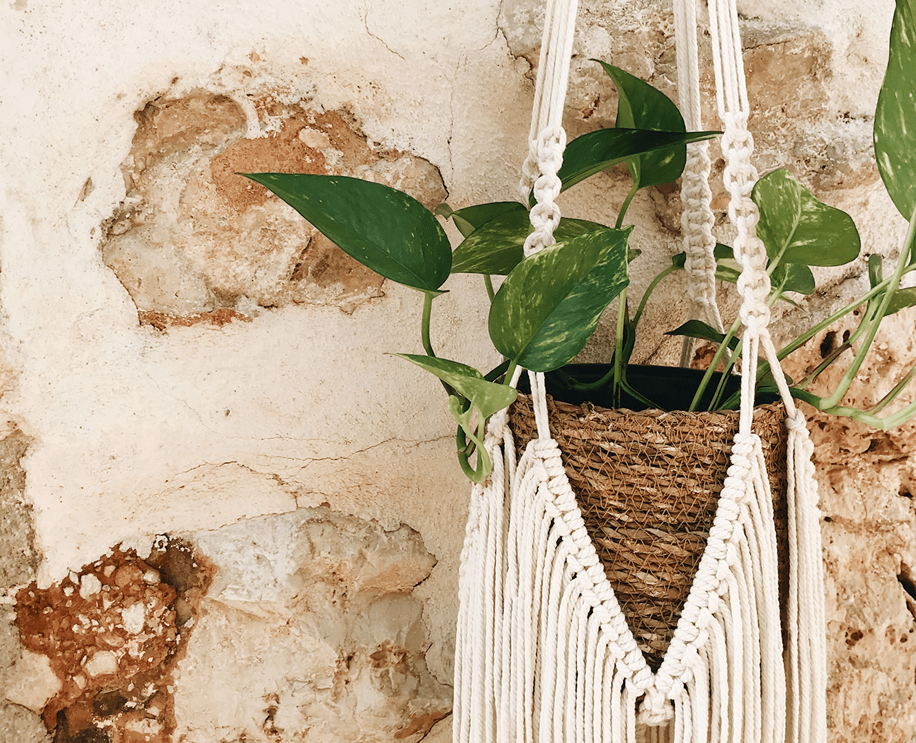 Learn How to Make Fabulous Fibre Art at NAITSA’s How To: Macrame