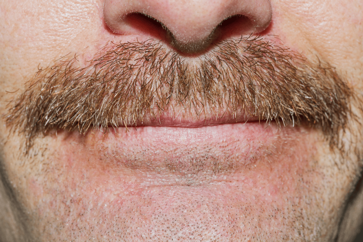 movember cover