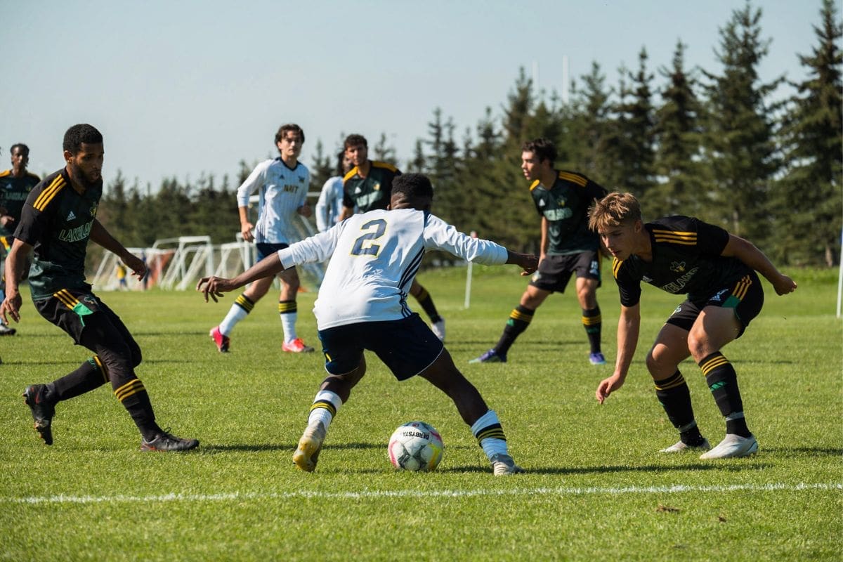 describing the image