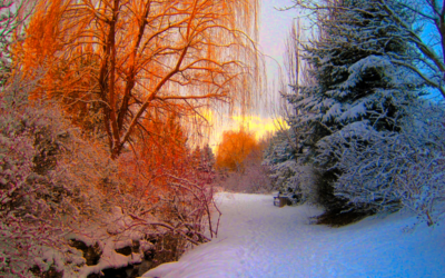 From sweating to shivering: My experience with Canada’s seasons as an international student