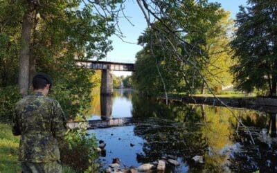 Alberta is supporting veterans, NAIT could do better