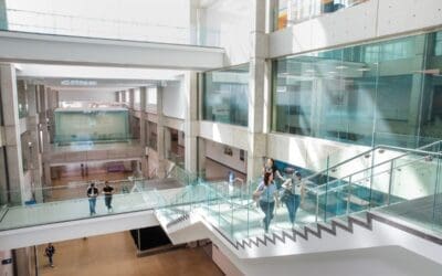 NAIT begins engagement period for paused programs as community voices ‘serious concern’