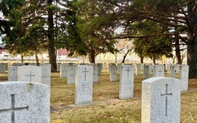 Finding life among the graves at Edmonton Cemetery