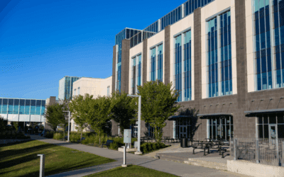 NAITSA urges Advanced Ed. Minister exercise “high degree of skepticism” about program pauses