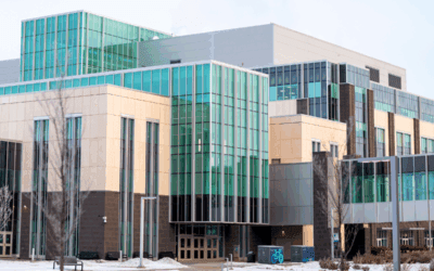 Cuts, cash cows and consequences