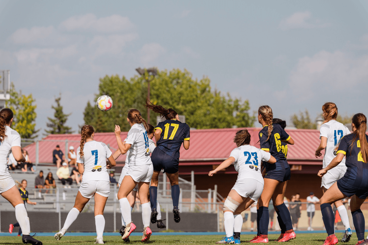 Fairness and Safety in Sport Act